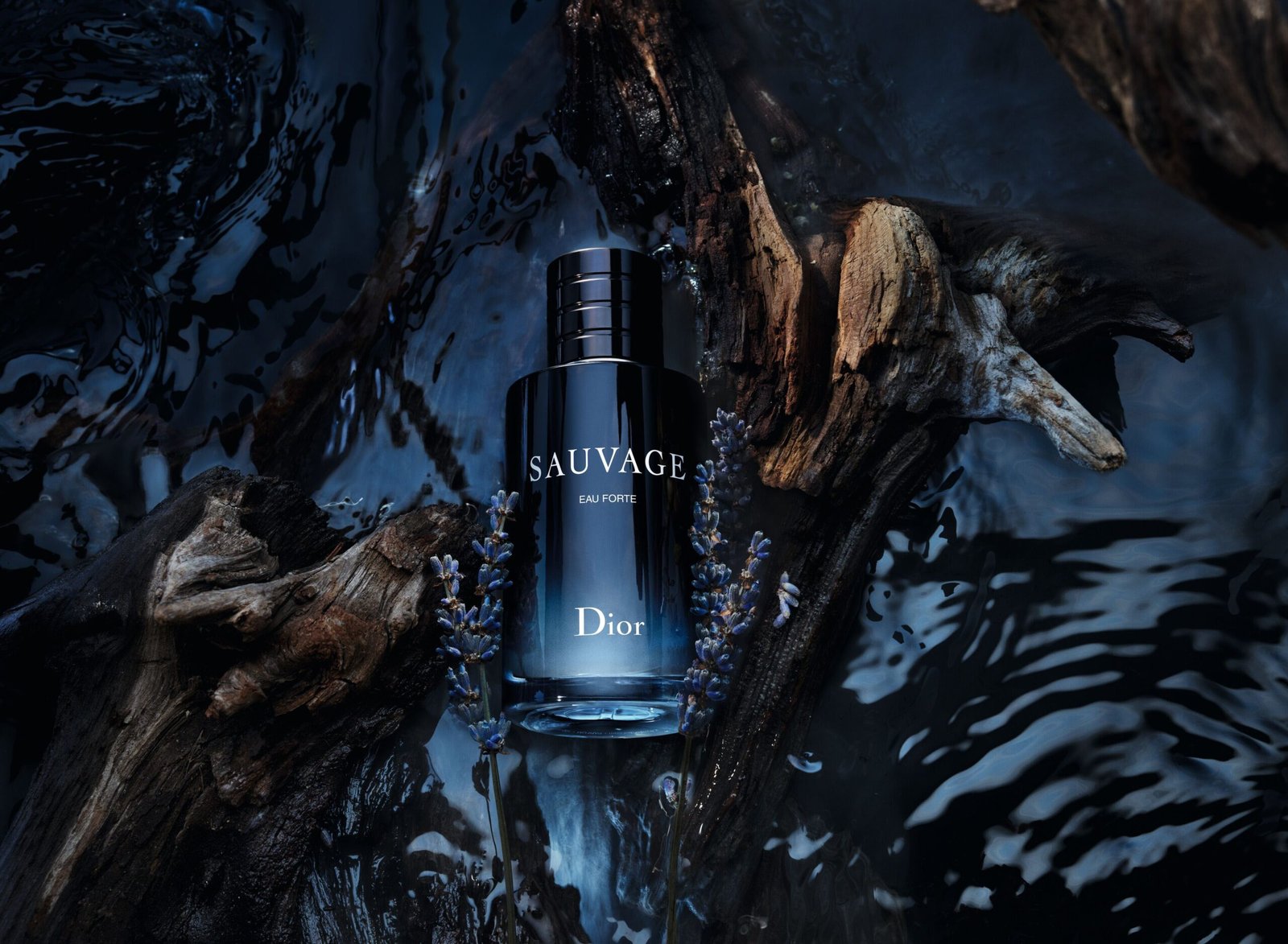 f094-sauvage-eau-forte-24-p06e-pack-ingredient-l4-f39-66bcb885a1660